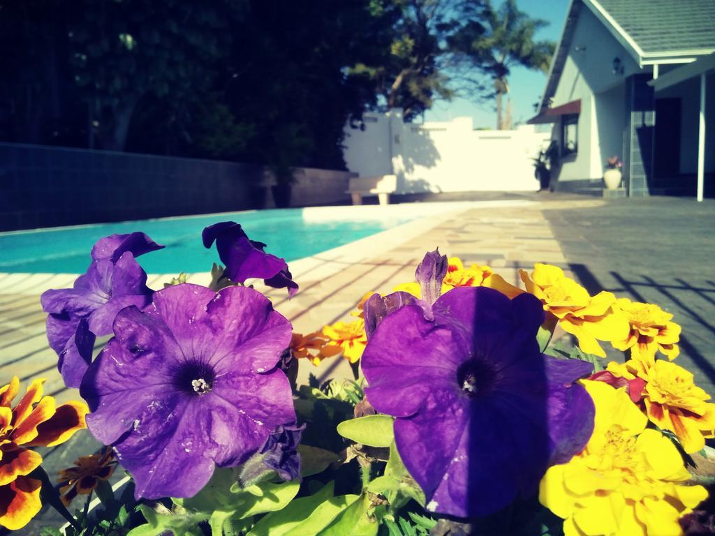 Buckleigh Guesthouse Durban Exterior foto